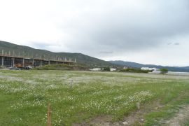 For Sale, Real Estate, Lands