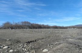 For Sale, Real Estate, Lands