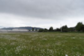 იყიდება, უძრავი ქონება, მიწის ნაკვეთები
