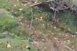 For Sale, Real Estate, Lands