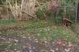 For Sale, Real Estate, Lands