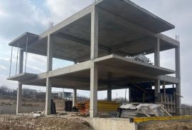 სახლების მშენებლობა, მონოლითი