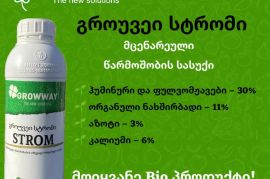 სტრომი გროუვეი  GROWWAY STROM   #სტრომი