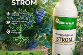 სტრომი გროუვეი  GROWWAY STROM   #სტრომი