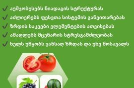 სტრომი გროუვეი  GROWWAY STROM   #სტრომი