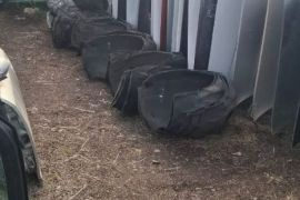 იშლება აუდები