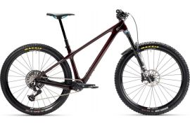 2026 Yeti ARC C2 90 TRANSMISSION Mountain Bike (BIKOTIQUE)
