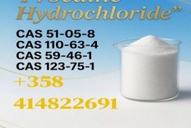 Order Procaine Cas59-46-1 Procaine Base Online Holland