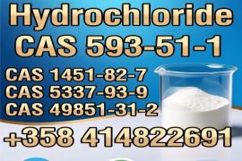 CAS 593-51-1 Methylamine hydrochloride Factory Supply High Purity 100% Safe Delivery   
