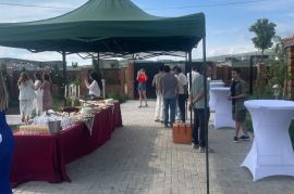 ტენტი ფანჩატური tenti