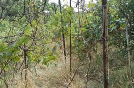 For Sale, Real Estate, Lands