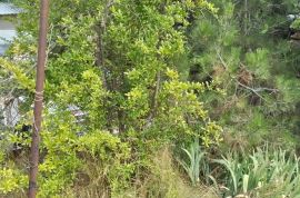 For Sale, Real Estate, Lands