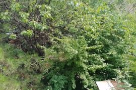For Sale, Real Estate, Lands
