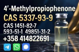 China Factory Supply CAS 5337-93-9 4-Methylpropiophenone Professional Supplier  