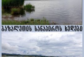 იყიდება, უძრავი ქონება, მიწის ნაკვეთები
