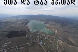 იყიდება, უძრავი ქონება, მიწის ნაკვეთები