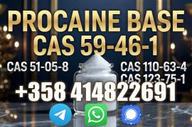 Procaine /procaine Base Cas 59-46-1 Free Sample Fast Delivery