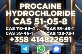 Procaine /procaine Base Cas 59-46-1 Free Sample Fast Delivery