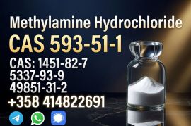 CAS 593-51-1 Methylamine hydrochloride Factory Supply High Purity 100% Safe Delivery   
