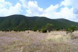 For Sale, Real Estate, Lands