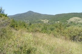 იყიდება, უძრავი ქონება, მიწის ნაკვეთები