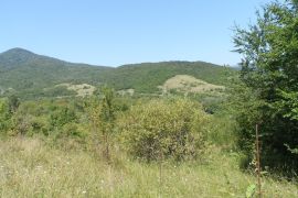 იყიდება, უძრავი ქონება, მიწის ნაკვეთები