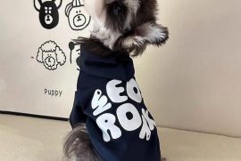 ძაღლის ჰუდი