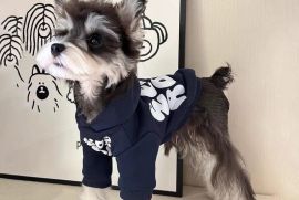 ძაღლის ჰუდი