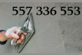 ლესვა