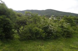 იყიდება, უძრავი ქონება, მიწის ნაკვეთები