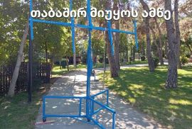 თაბაშირ მუყაოს ამწე ოპერატორი