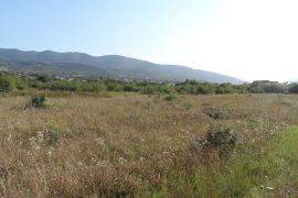 For Sale, Real Estate, Lands