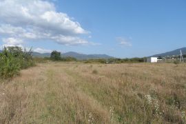 For Sale, Real Estate, Lands