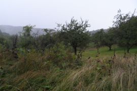 For Sale, Real Estate, Lands