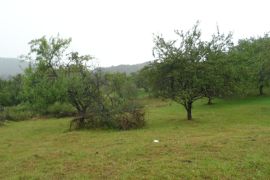 For Sale, Real Estate, Lands