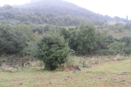 For Sale, Real Estate, Lands