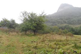 For Sale, Real Estate, Lands