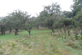 For Sale, Real Estate, Lands
