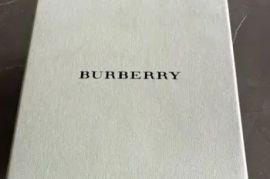 Burberry Signature Charm Bracelet Watch (Model BU5200)