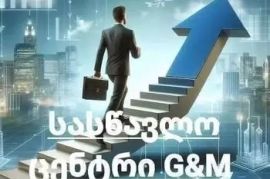 საოფისე პროგრამების შესწავლა