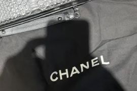 Chanel Classic Metallic Silver &amp; Black Python