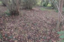 იყიდება, უძრავი ქონება, მიწის ნაკვეთები