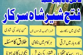 Amil baba Fateh Sher Shah 03266003271