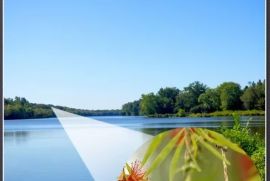 ბინოკლი