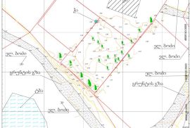 საკადასტრო და შიდა აზომვითი ნახაზები წყალტუბოში