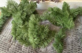 ნაძვისხის ტოტი