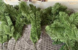 ნაძვისხის ტოტი