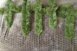 ნაძვისხის ტოტი