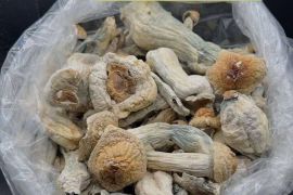 Zangi:(16-3621-4477)Buy 4-MMC (Mephedrone Crystal)