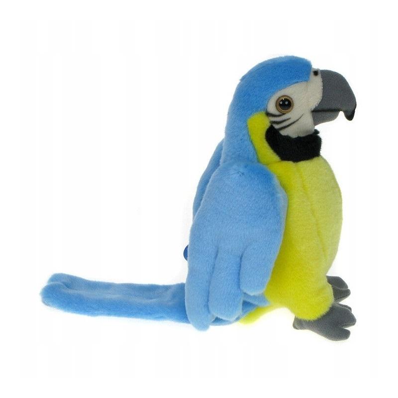 Papuga niebieska 25cm